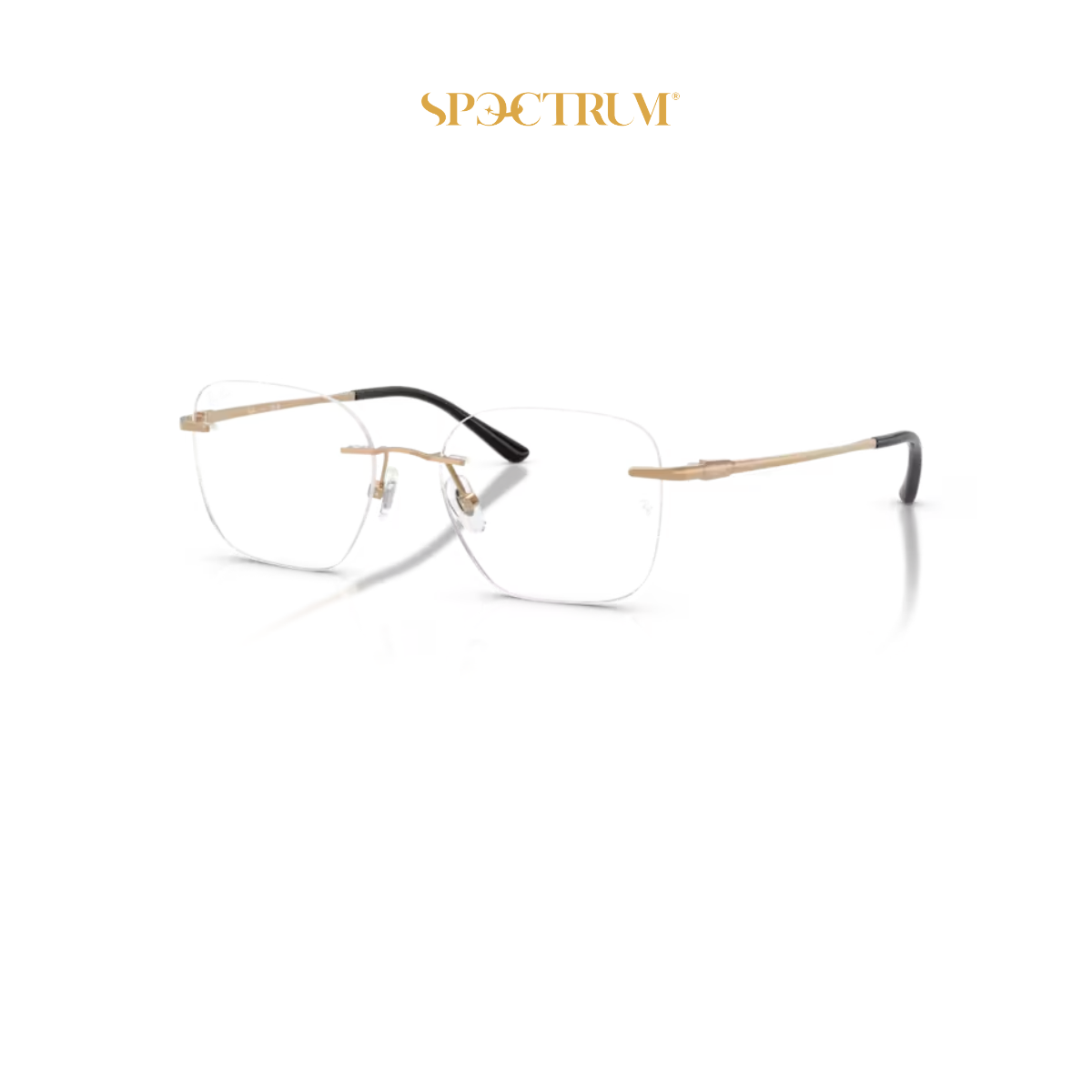 Gọng kính Ray-Ban 0RX8783D 1248