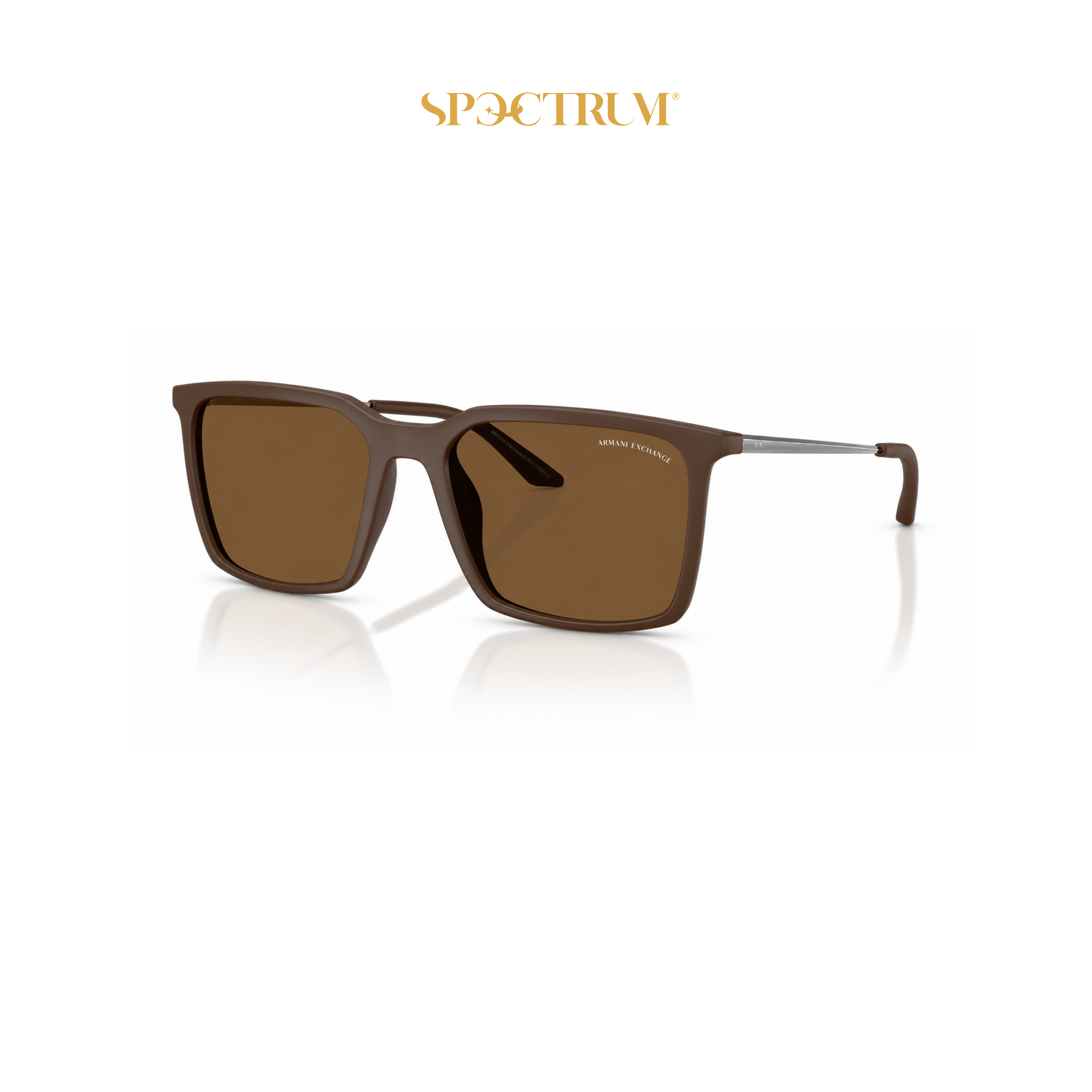 Kính mát Armani Exchange 0AX4170SU 840873