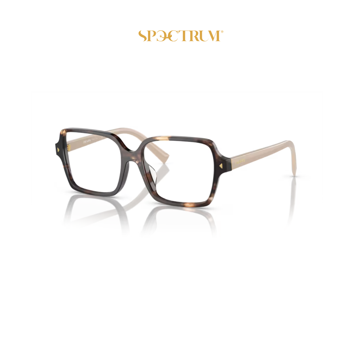 Gọng kính Prada 0PR A02VF 07R1O1